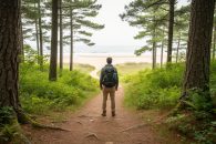 “Hiker at a forest trailhead near a beach access, looking down a winding dirt path representing Wolf Trail.”