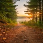 A winding dirt hiking trail in a New England forest at sunrise with sunlight rays filtering through trees.